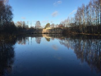 Reflection of trees in calm lake