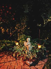 Statue of illuminated plants at night