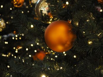 Close-up of illuminated christmas tree