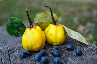 Close-up of quinces with blueberries on wooden table