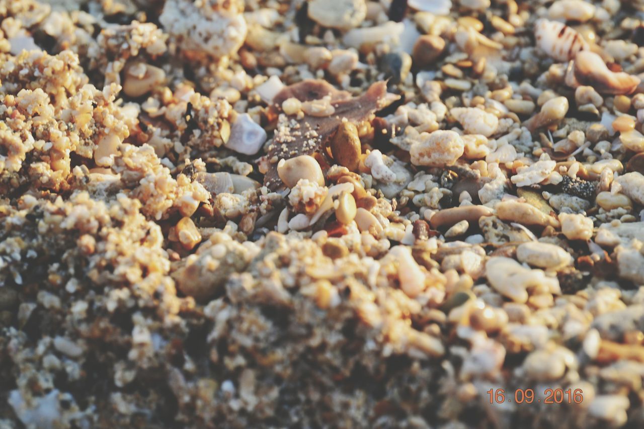 FULL FRAME SHOT OF PEBBLES