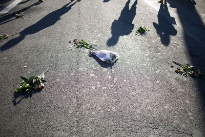 Shadow of people with bouquets on street after terrorist attack