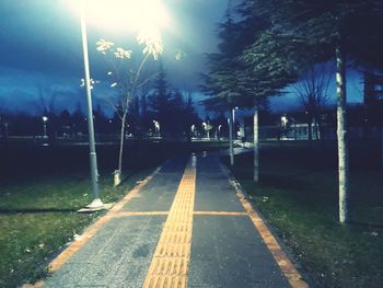 Street amidst trees at night