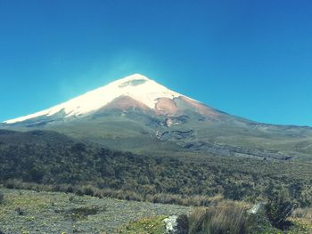 Scenic view of landscape against clear blue sky