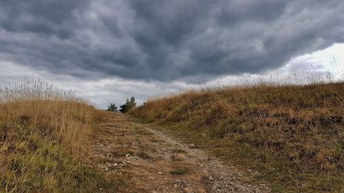 Scenic view of field against cloudy sky