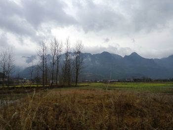 Scenic view of landscape against cloudy sky