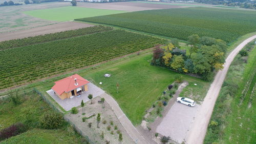 High angle view of agricultural field