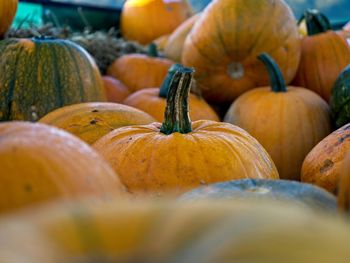 Close-up of pumpkins for sale at market stall