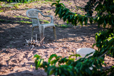 View of cat on chair