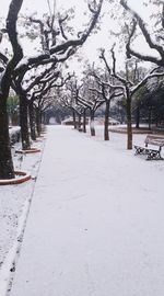 Snow covered road amidst trees during winter