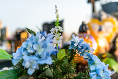 Artificial flowers and candlesticks lie on the tombstone in the cemetery.