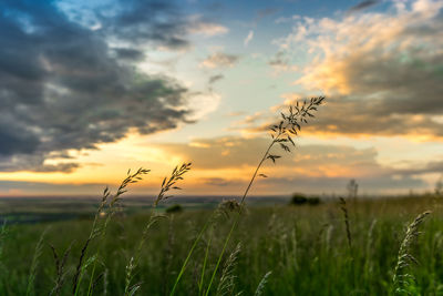 Scenic view of field against cloudy sky