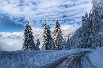 Snow covered road by trees against sky