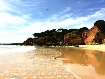 Scenic view of sea against sky