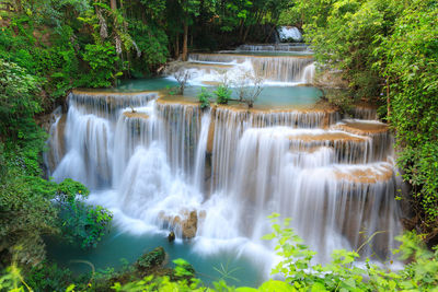 Scenic view of waterfall in forest