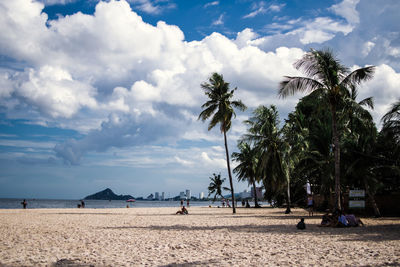 Palm trees on beach against sky