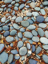 High angle view of pebbles with dry leaves