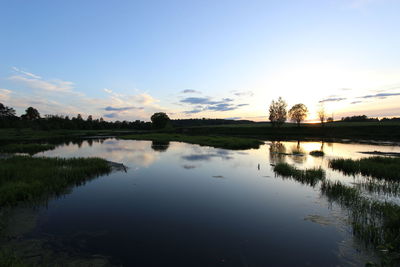 Reflection of trees in calm lake