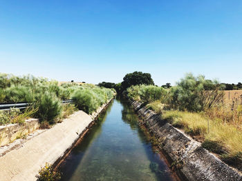 Scenic view of canal amidst trees against clear blue sky