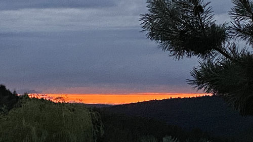 Silhouette trees on landscape against sky at sunset