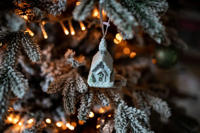 Close-up of illuminated christmas tree