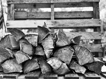 Close-up of logs