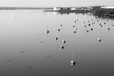 High angle view of sailboats in water