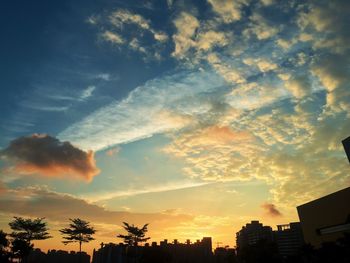 Low angle view of silhouette trees against sky