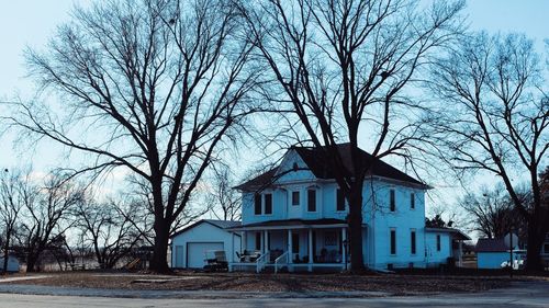 Bare trees against buildings