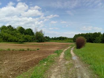 Dirt road amidst agricultural field against sky