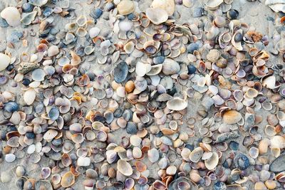 Full frame shot of stones on beach