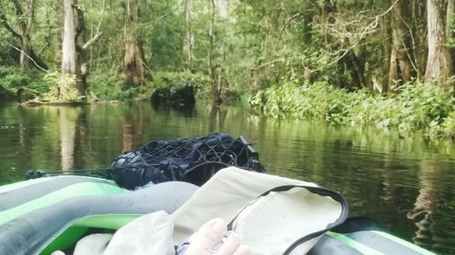 Scenic view of lake in forest