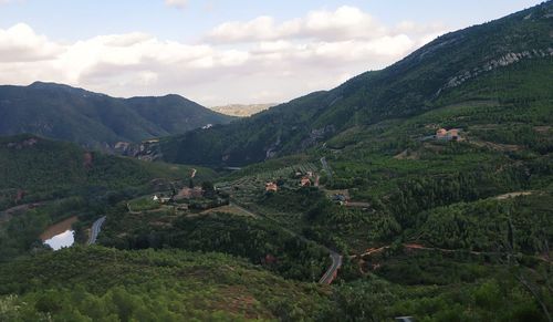 Scenic view of agricultural landscape against sky