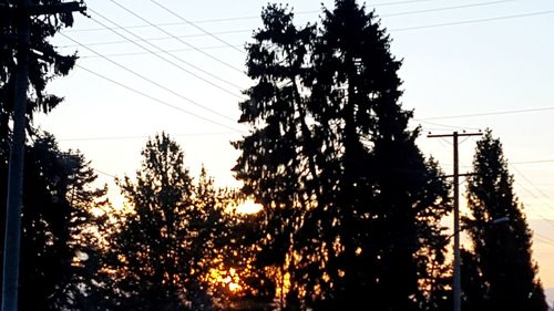 Low angle view of silhouette trees against sky during sunset