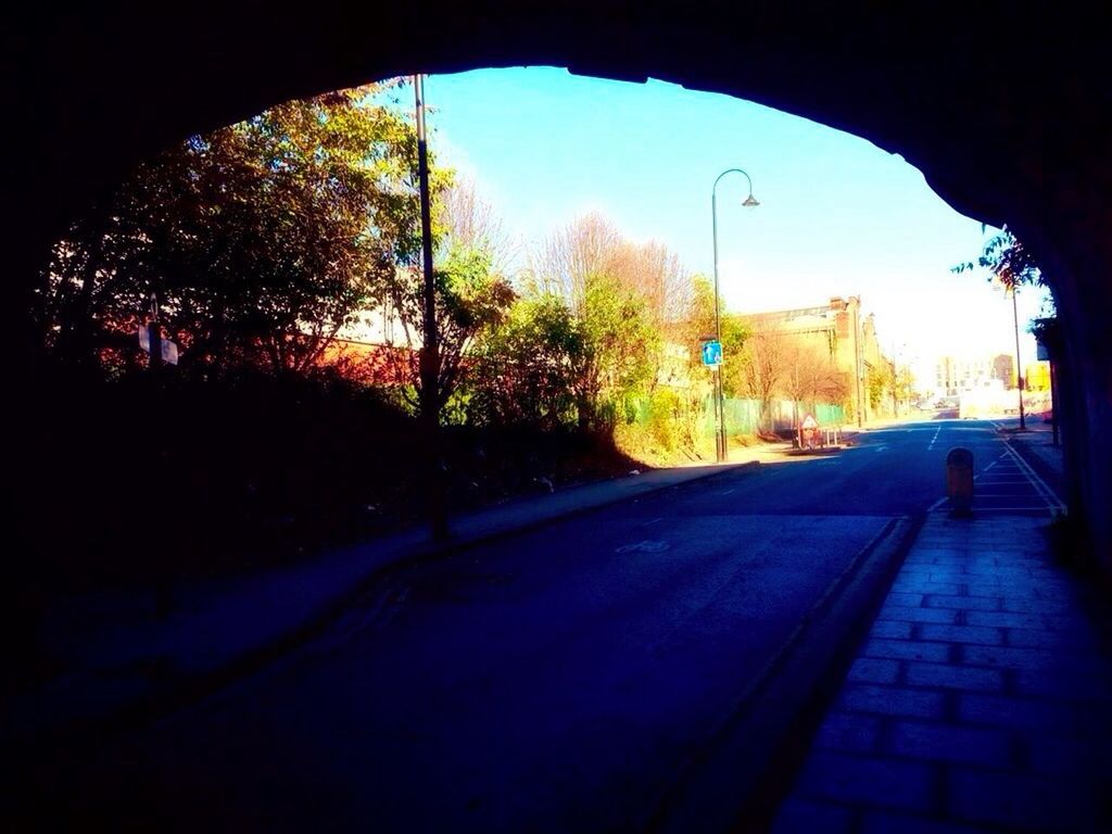 road, tree, the way forward, transportation, architecture, day, built structure, outdoors, city, no people, sky