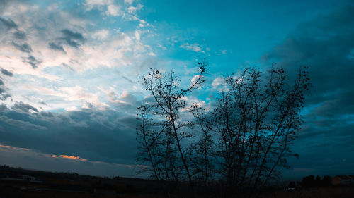 Low angle view of silhouette tree against sky