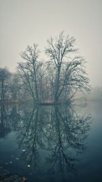 Reflection of trees in lake