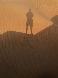 High angle view of person on sand at beach