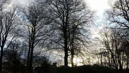 Silhouette of bare trees against sky at sunset