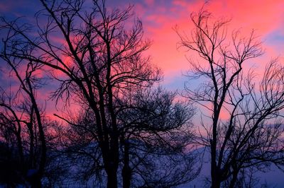 Low angle view of silhouette trees against sky at sunset