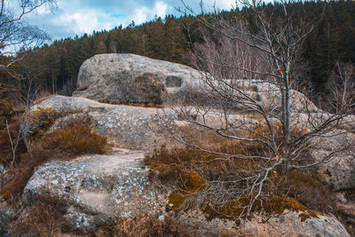 Scenic view of rocks in forest against sky