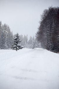 Snow covered trees against clear sky