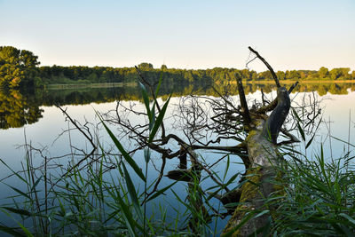 Scenic view of lake against clear sky