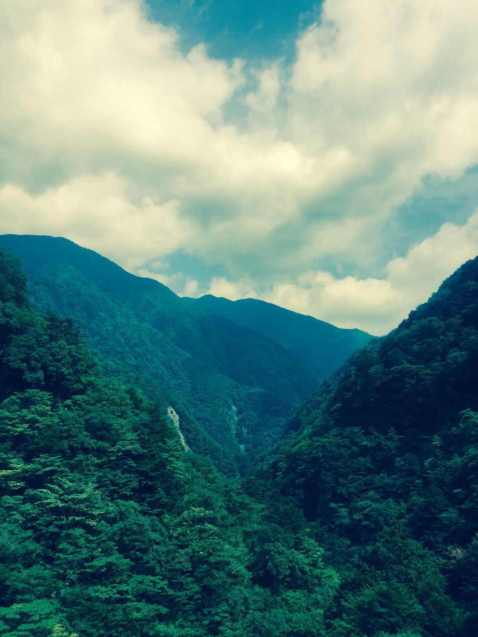 mountain, tranquil scene, tranquility, scenics, mountain range, sky, beauty in nature, landscape, nature, tree, cloud - sky, non-urban scene, cloud, green color, idyllic, valley, cloudy, growth, day, remote