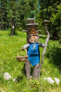 Man standing in basket on field