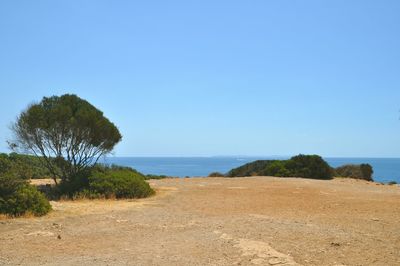 Scenic view of beach against clear sky