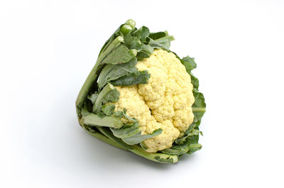 Close-up of vegetable over white background