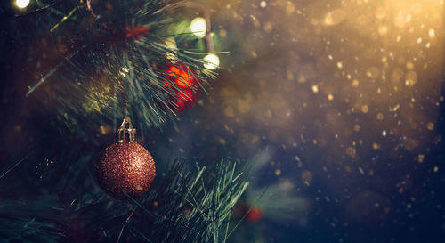 Close-up of christmas decorations on tree