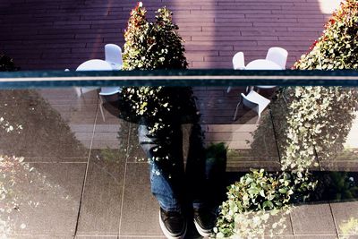 Potted plants on the wall