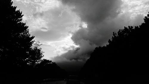 Low angle view of storm clouds over silhouette trees